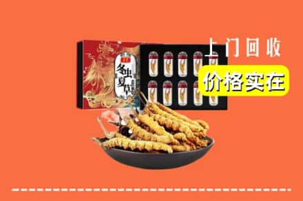 武威市民勤回收冬虫夏草