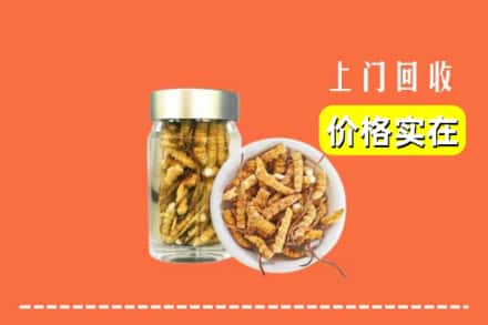 收购资讯:武威市民勤回收散虫草