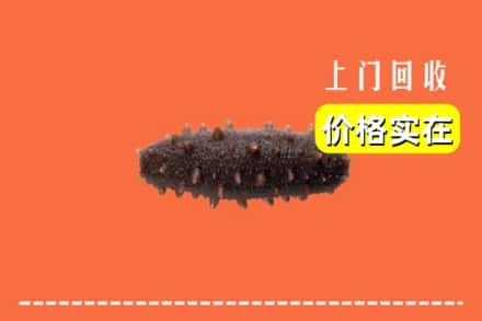 收购资讯:武威市民勤回收海参