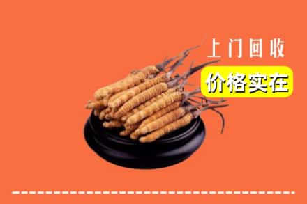 收购资讯:武威市民勤回收冬虫夏草